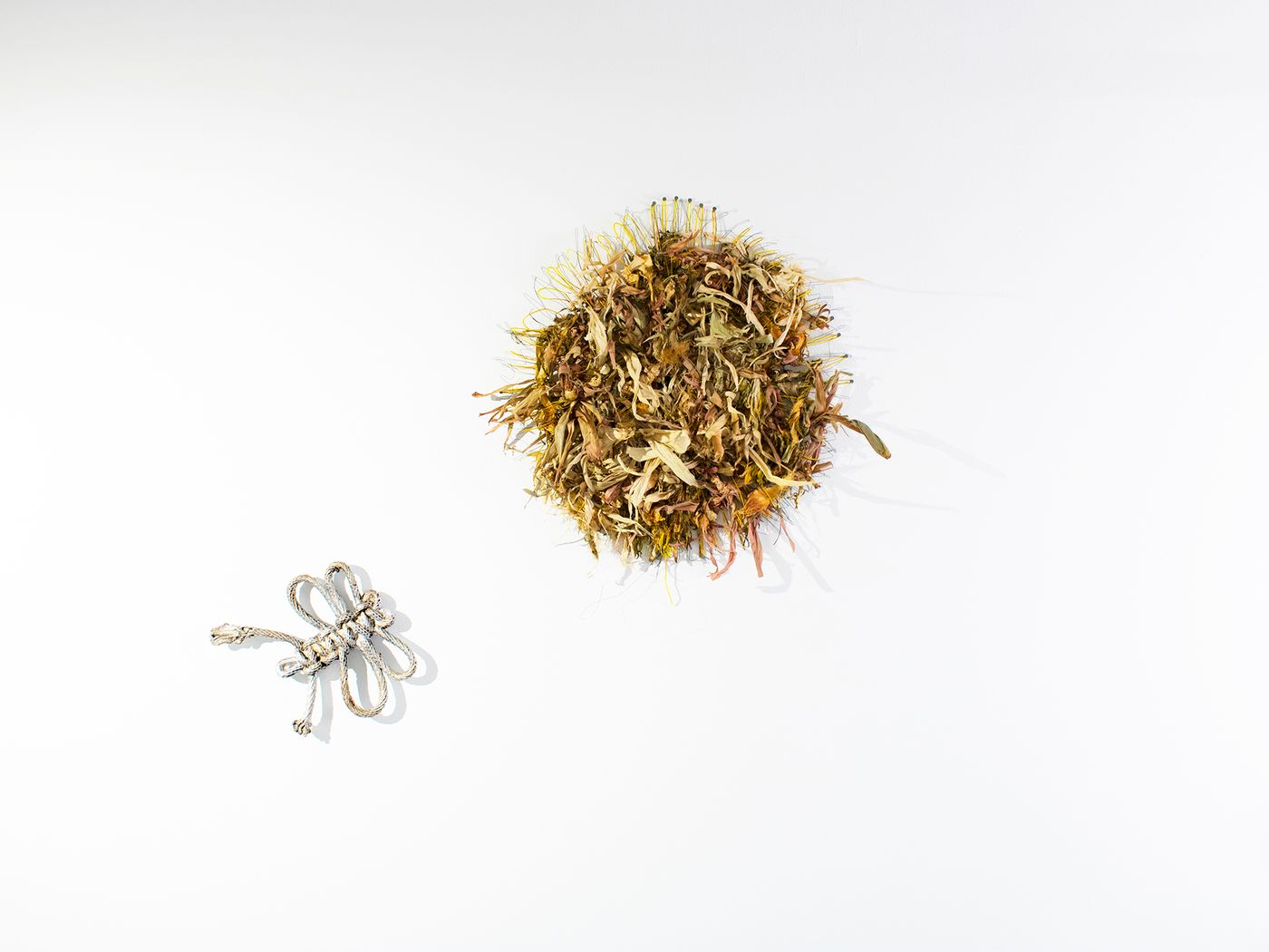 hoi1 faa1/florecer, 2021-22. Nylon string, floral wire, corn husks, corn leaves, night blooming cereus and nails on wall; 44 x 35 x 6 in. Photo: Sebastián Pérez.